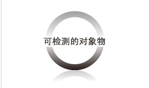 可检测的对象物